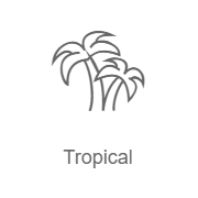 Слушайте Tropical - Радио Рекорд