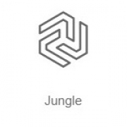 Слушайте Jungle - Радио Рекорд